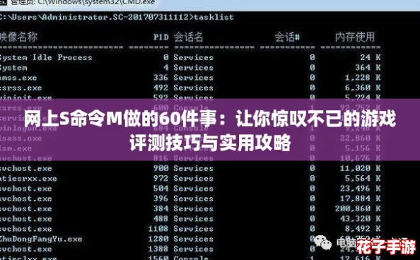 网上S命令M做的60件事：让你惊叹不已的游戏评测技巧与实用攻略