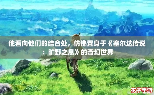 他看向他们的结合处，仿佛置身于《塞尔达传说：旷野之息》的奇幻世界
