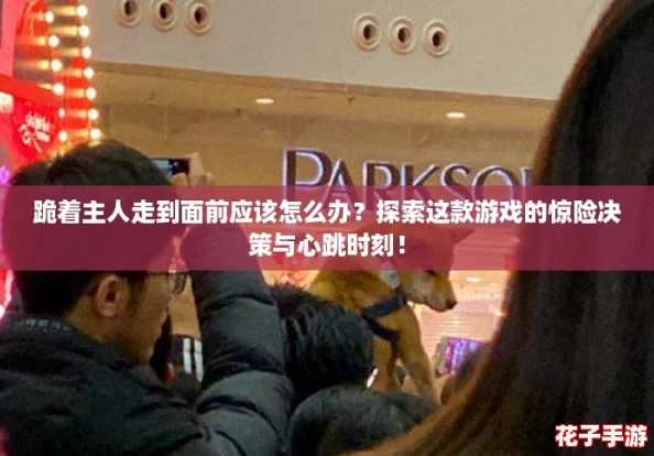 跪着主人走到面前应该怎么办？探索这款游戏的惊险决策与心跳时刻！