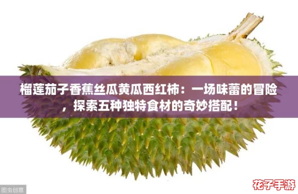 榴莲茄子香蕉丝瓜黄瓜西红柿：一场味蕾的冒险，探索五种独特食材的奇妙搭配！