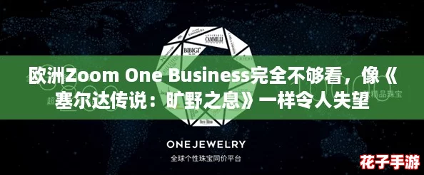 欧洲Zoom One Business完全不够看，像《塞尔达传说：旷野之息》一样令人失望