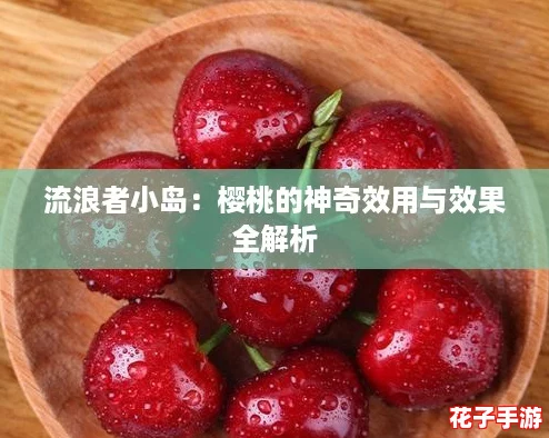 流浪者小岛：樱桃的神奇效用与效果全解析