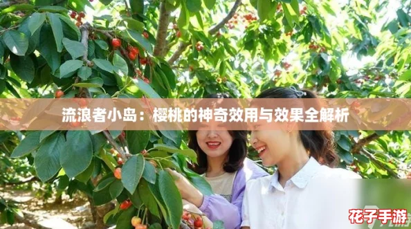 流浪者小岛：樱桃的神奇效用与效果全解析