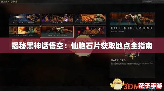 揭秘黑神话悟空：仙胞石片获取地点全指南