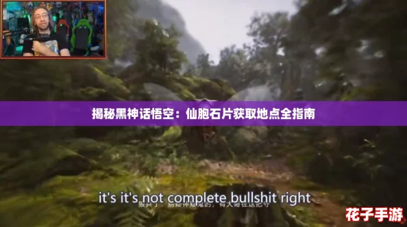 揭秘黑神话悟空：仙胞石片获取地点全指南