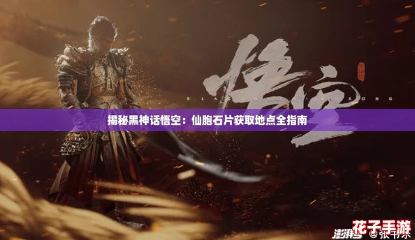 揭秘黑神话悟空：仙胞石片获取地点全指南