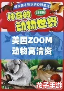 美国ZOOM动物高清资源：探索虚拟世界中的奇妙生物，开启你的冒险之旅！