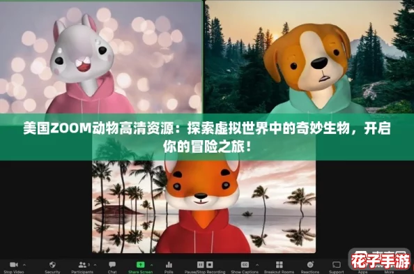 美国ZOOM动物高清资源：探索虚拟世界中的奇妙生物，开启你的冒险之旅！