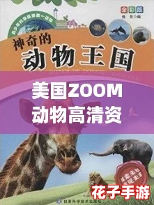 美国ZOOM动物高清资源：探索虚拟世界中的奇妙生物，开启你的冒险之旅！