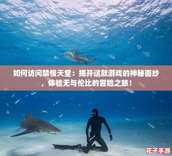 如何访问禁慢天堂：揭开这款游戏的神秘面纱，体验无与伦比的冒险之旅！
