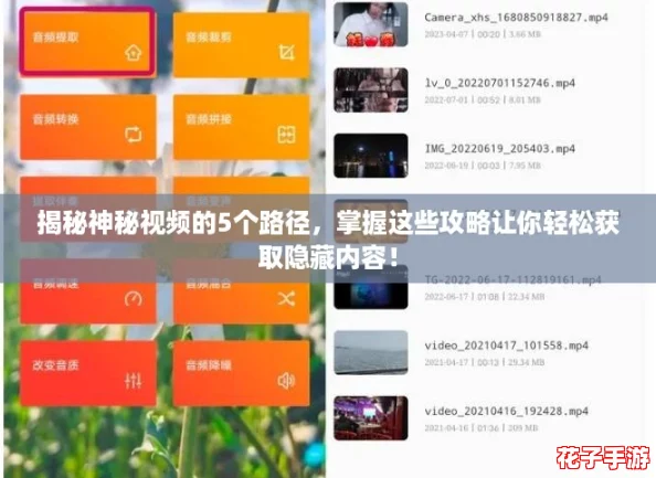 揭秘神秘视频的5个路径，掌握这些攻略让你轻松获取隐藏内容！