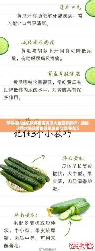 草莓樱桃丝瓜秋葵榴莲黄瓜大全营养解析：揭秘这些水果蔬菜的健康攻略与食用技巧