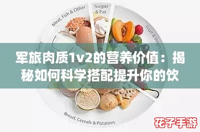 军旅肉质1v2的营养价值：揭秘如何科学搭配提升你的饮食体验与健康效果