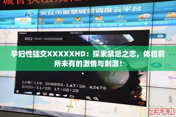 孕妇性猛交XXXXXHD：探索禁忌之恋，体验前所未有的激情与刺激！