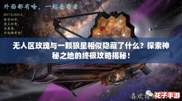 无人区玫瑰与一颗狼星相似隐藏了什么？探索神秘之地的终极攻略揭秘！