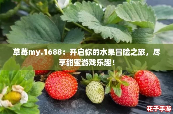 草莓my.1688：开启你的水果冒险之旅，尽享甜蜜游戏乐趣！