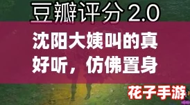 沈阳大姨叫的真好听，仿佛置身《塞尔达传说：旷野之息》的奇幻世界