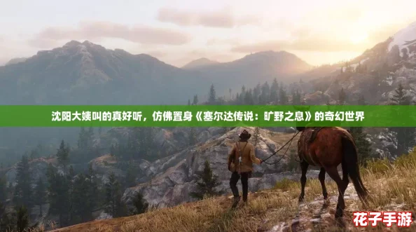 沈阳大姨叫的真好听，仿佛置身《塞尔达传说：旷野之息》的奇幻世界
