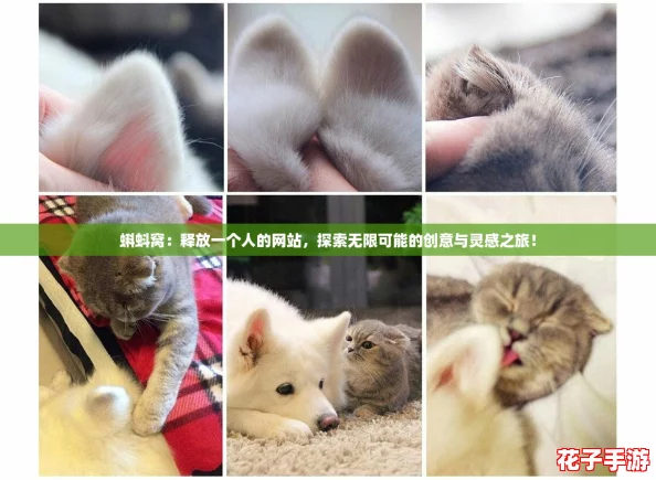 蝌蚪窝：释放一个人的网站，探索无限可能的创意与灵感之旅！