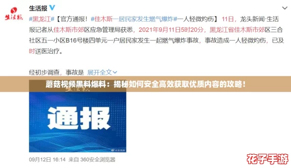 蘑菇视频黑料爆料：揭秘如何安全高效获取优质内容的攻略！