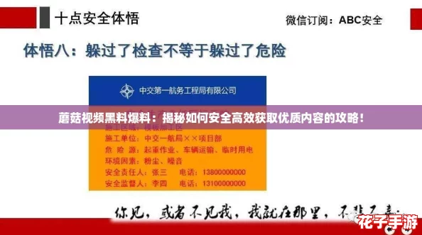 蘑菇视频黑料爆料：揭秘如何安全高效获取优质内容的攻略！
