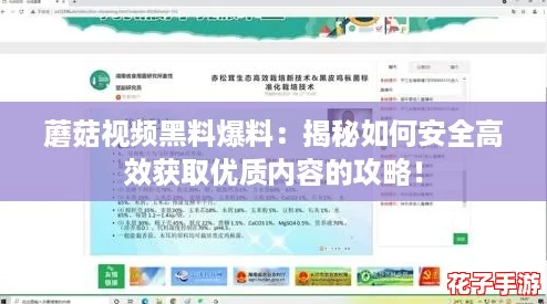 蘑菇视频黑料爆料：揭秘如何安全高效获取优质内容的攻略！
