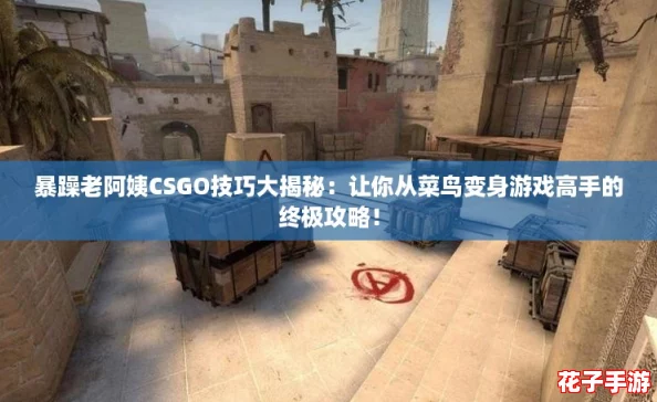 暴躁老阿姨CSGO技巧大揭秘：让你从菜鸟变身游戏高手的终极攻略！