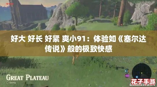 好大 好长 好紧 爽小91：体验如《塞尔达传说》般的极致快感
