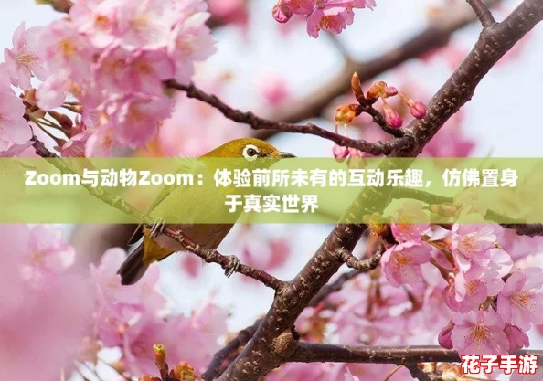 Zoom与动物Zoom：体验前所未有的互动乐趣，仿佛置身于真实世界
