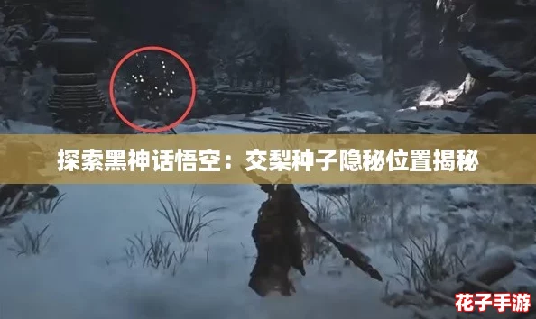 探索黑神话悟空：交梨种子隐秘位置揭秘