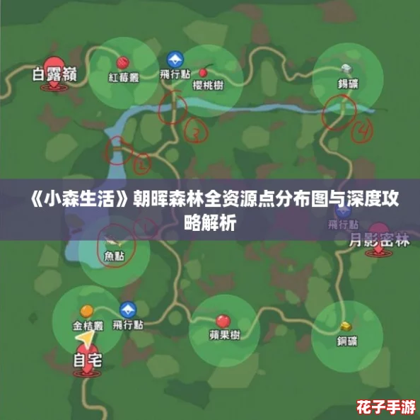 《小森生活》朝晖森林全资源点分布图与深度攻略解析