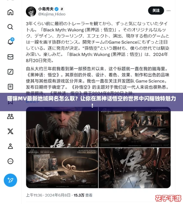 猫咪MV最新地域网名怎么取？让你在黑神话悟空的世界中闪耀独特魅力！