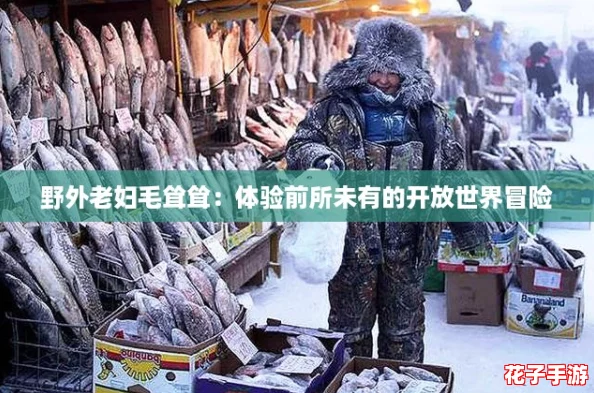野外老妇毛耸耸：体验前所未有的开放世界冒险