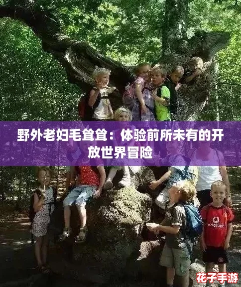 野外老妇毛耸耸:体验前所未有的开放世界冒险 野外老妇毛耸耸:体验前所未有的开放世界冒险