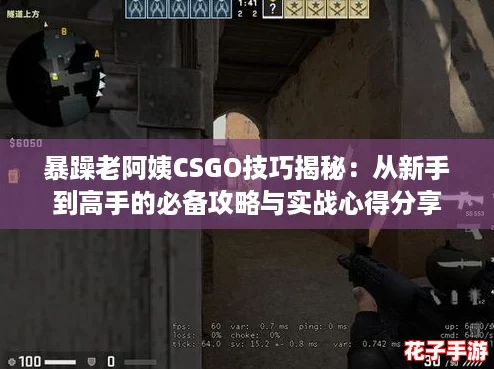 暴躁老阿姨CSGO技巧揭秘：从新手到高手的必备攻略与实战心得分享