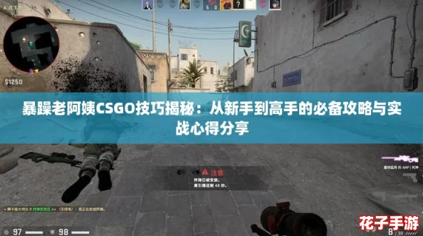 暴躁老阿姨CSGO技巧揭秘:从新手到高手的必备攻略与实战心得分享 暴躁老阿姨CSGO技巧揭秘:从新手到高手的必备攻略与实战心得分享