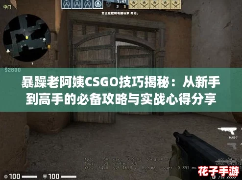 暴躁老阿姨CSGO技巧揭秘:从新手到高手的必备攻略与实战心得分享 暴躁老阿姨CSGO技巧揭秘:从新手到高手的必备攻略与实战心得分享