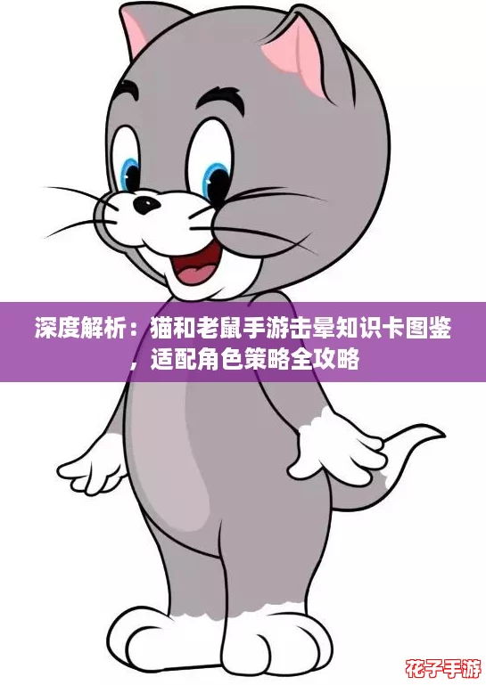 深度解析：猫和老鼠手游击晕知识卡图鉴，适配角色策略全攻略