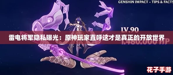 雷电将军隐私曝光：原神玩家直呼这才是真正的开放世界