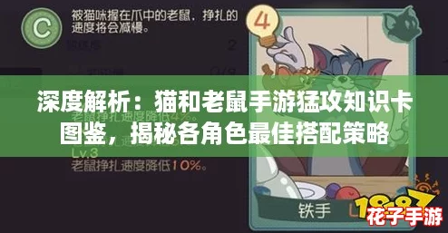 深度解析：猫和老鼠手游猛攻知识卡图鉴，揭秘各角色最佳搭配策略
