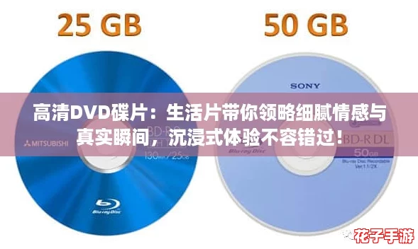 高清DVD碟片：生活片带你领略细腻情感与真实瞬间，沉浸式体验不容错过！