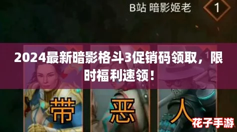 2024最新暗影格斗3促销码领取，限时福利速领！
