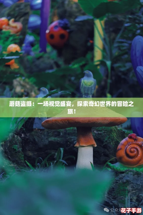 蘑菇盗摄：一场视觉盛宴，探索奇幻世界的冒险之旅！