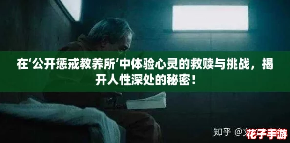 在‘公开惩戒教养所’中体验心灵的救赎与挑战，揭开人性深处的秘密！
