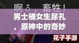 男士桶女生尿孔，原神中的奇妙互动让人惊叹不已，探索未知的乐趣无穷