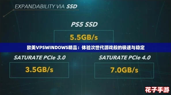 欧美VPSWINDOWS精品：体验次世代游戏般的极速与稳定