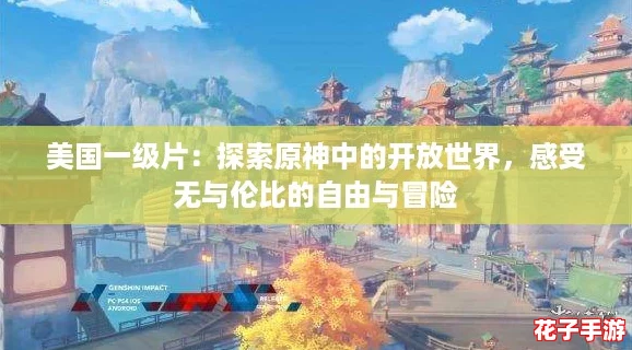 美国一级片：探索原神中的开放世界，感受无与伦比的自由与冒险