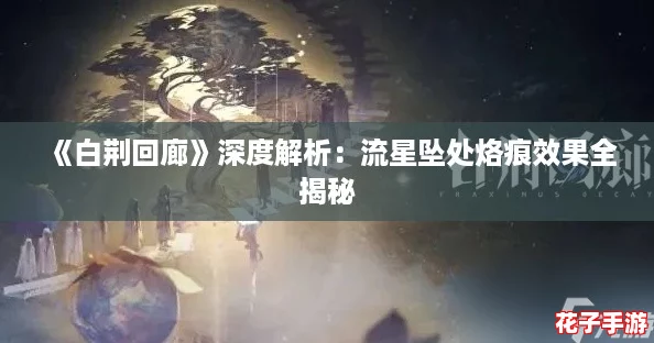 《白荆回廊》深度解析:流星坠处烙痕效果全揭秘 《白荆回廊》深度解析:流星坠处烙痕效果全揭秘