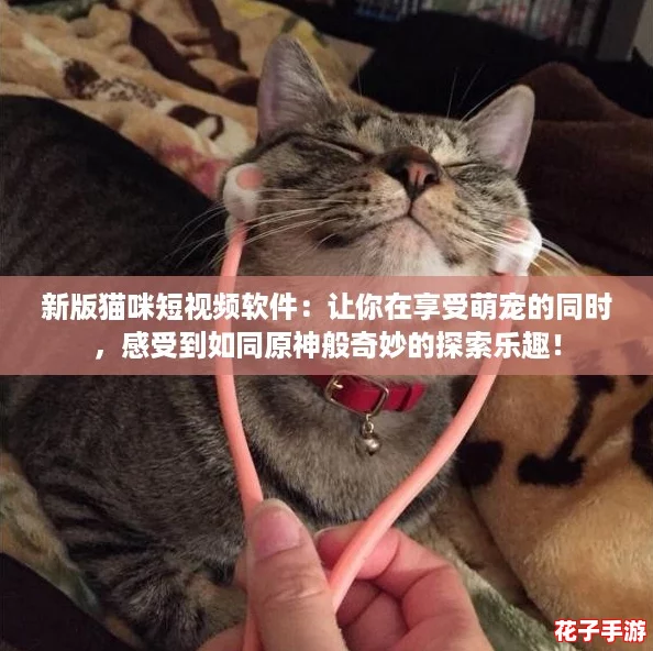新版猫咪短视频软件：让你在享受萌宠的同时，感受到如同原神般奇妙的探索乐趣！