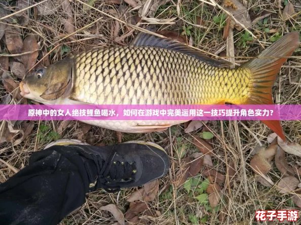 原神中的女人绝技鲤鱼喝水，如何在游戏中完美运用这一技巧提升角色实力？